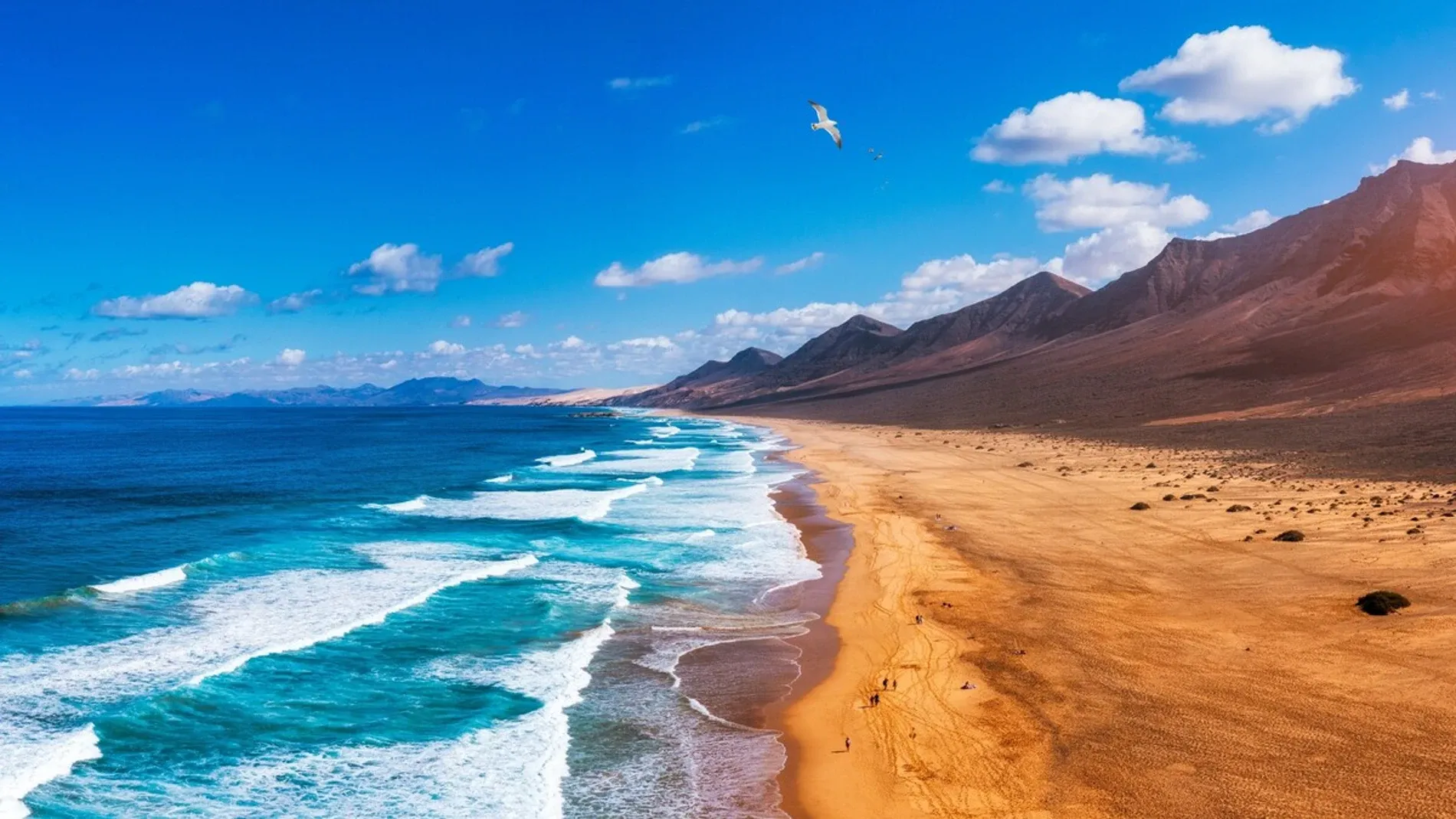 New Archaeological Findings Illuminate Berber Influence in the Canary Islands
