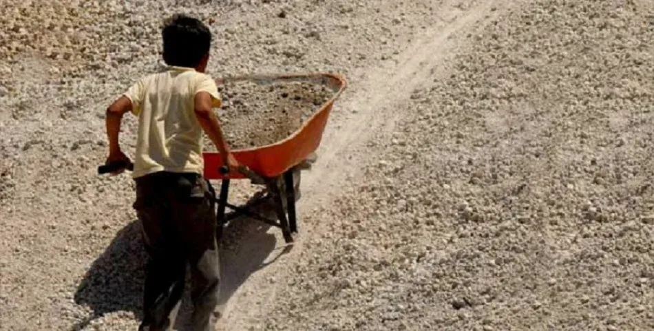 Morocco's Remarkable Progress in the Fight Against Child Labour