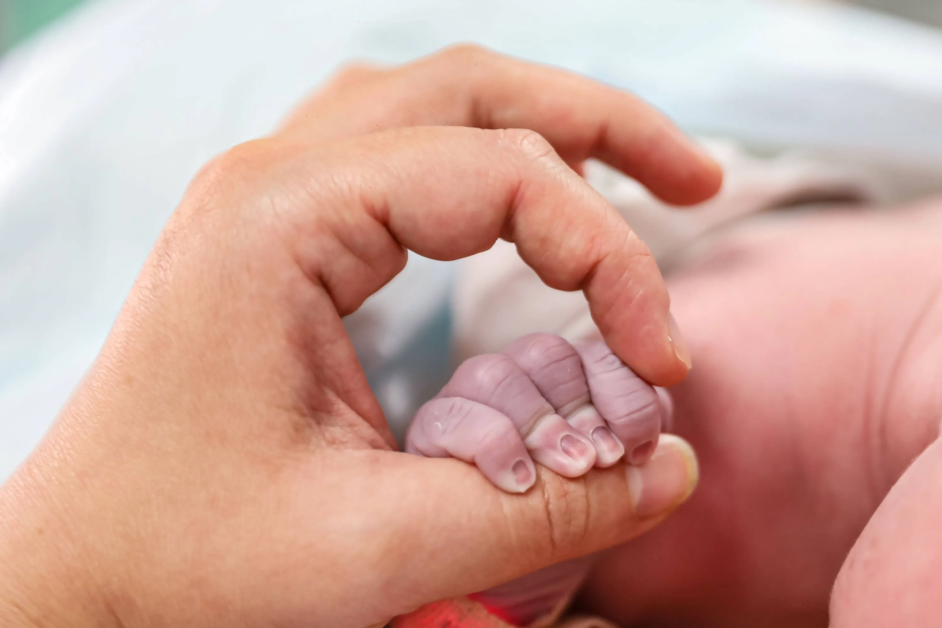 Historic Decline in Birth Rates Across the Maghreb Region