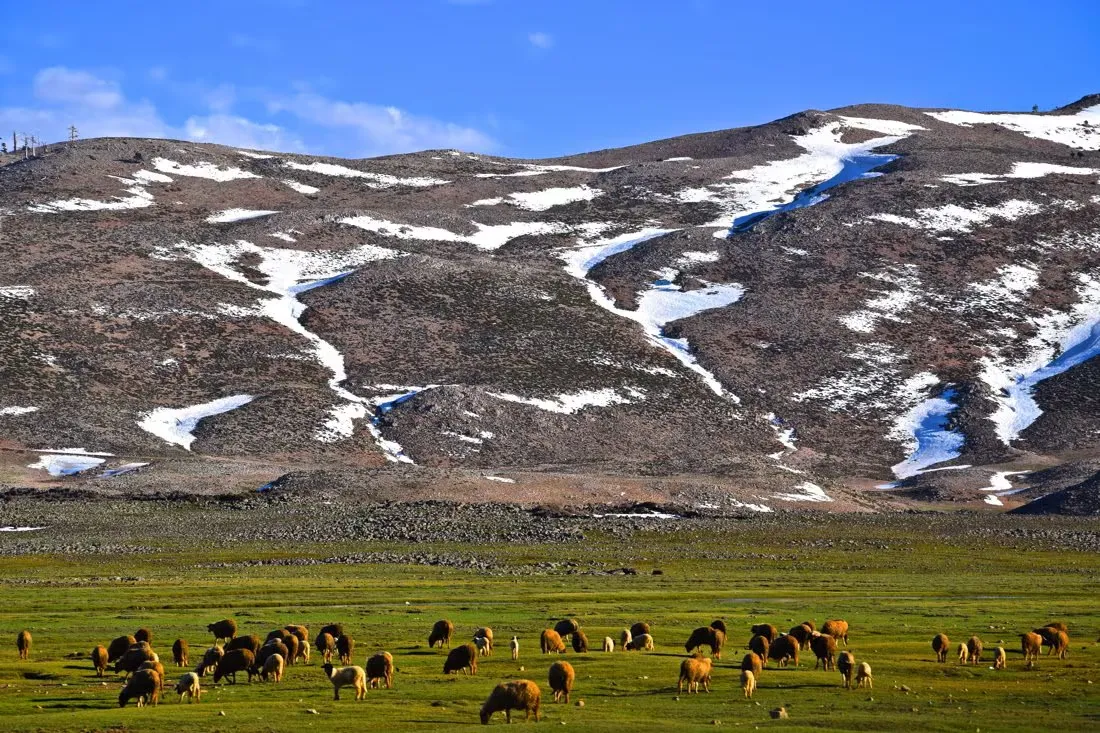 Weather Update: Heat in the South, Cloudy Coasts, and Storms in the Middle Atlas on June 17