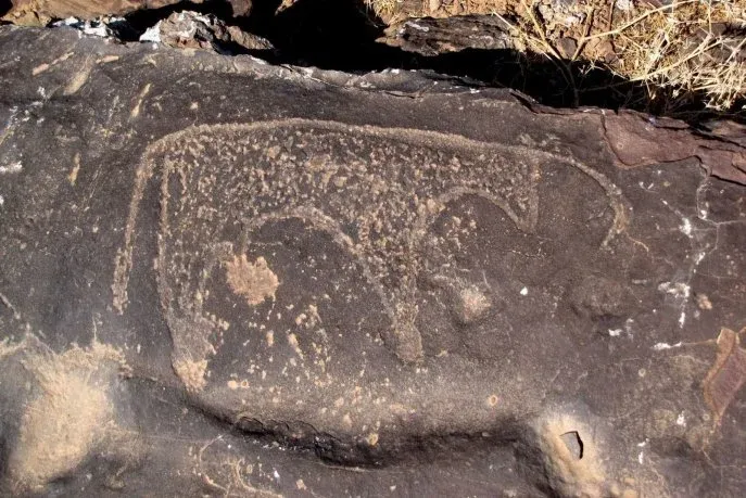 Cultural Heritage Initiatives in Morocco: From Rock Art Preservation to International Photography Festival