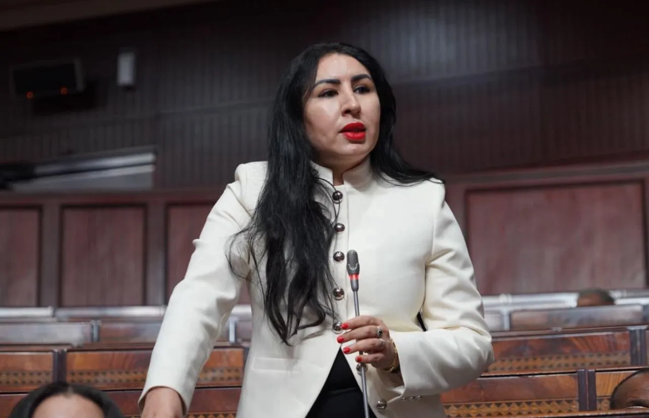 Urgent Call for Regulatory Framework in Transportation Services by Hanane Atrakine