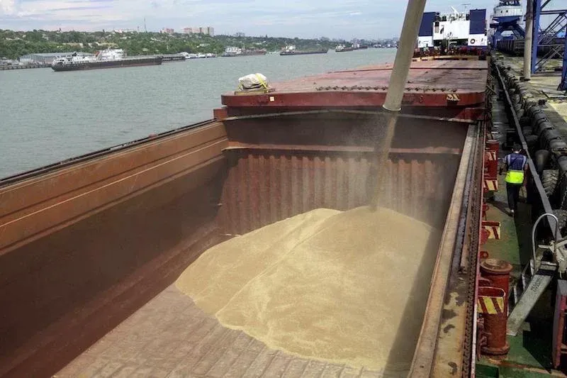 Moroccan Wheat Disrupts European Market Dynamics