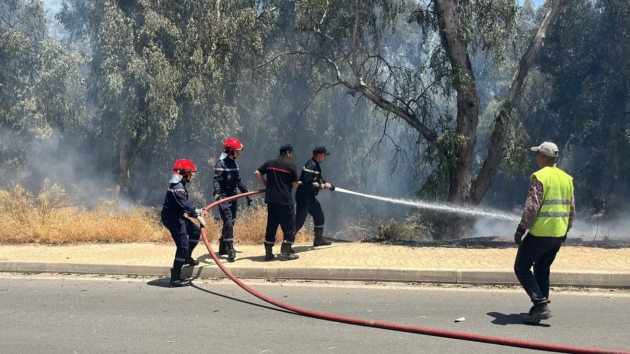 Forest Fires: A Severe Warning for Multiple Regions in Fès-Meknès