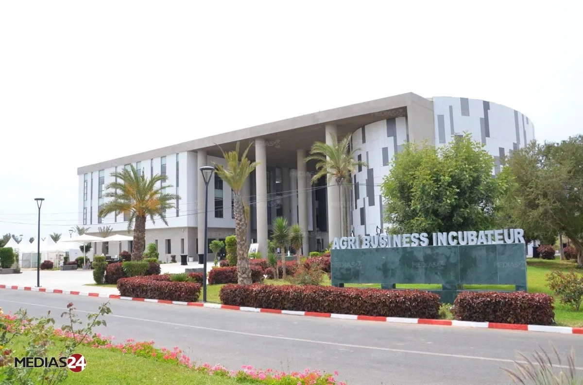 Agadir to Establish a Polytechnic School for Agronomic and Life Sciences