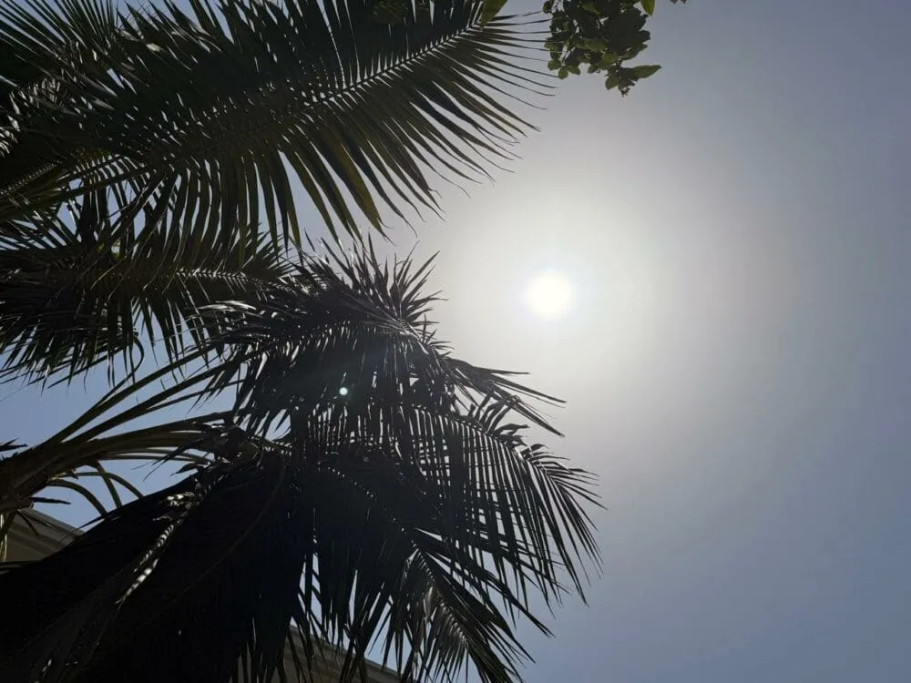 Unprecedented Heatwave Grips Morocco: A Call for Urban Adaptation