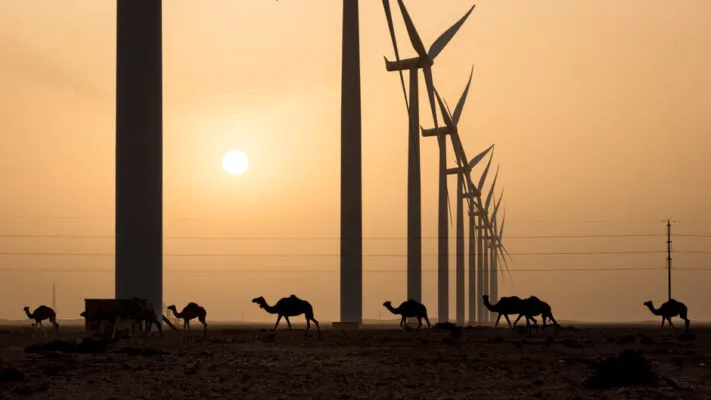 Morocco's Renewable Energy Ambitions: Balancing Megaprojects and Rural Needs