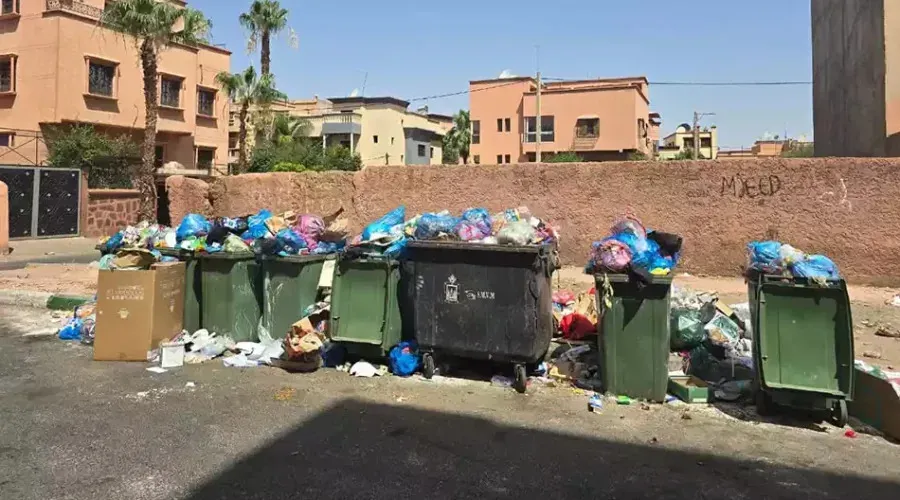 Waste Management Crisis in Marrakech: Accountability and Calls for Transparency