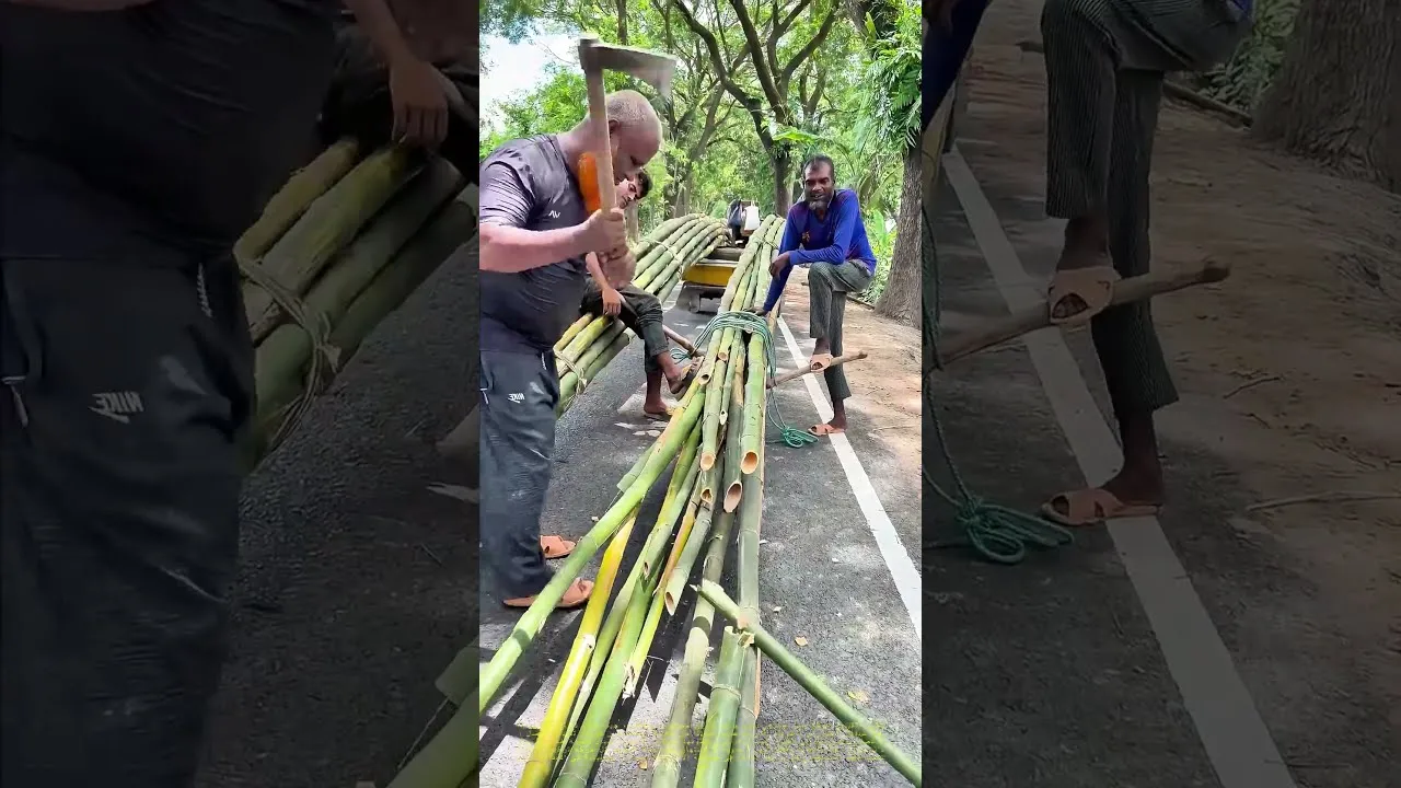 The Art of Bamboo Cutting: Unveiling the Secrets of Ancient Craftsmen