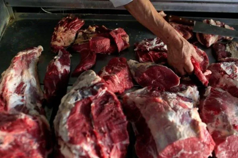 Large Quantity of Spoiled Meat Seized in Fes: A Health Hazard Averted