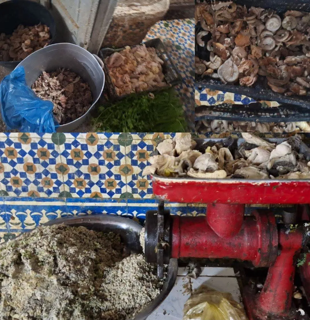 Crackdown in Fez: Illegal Processing Unit for Animal Organs Shut Down