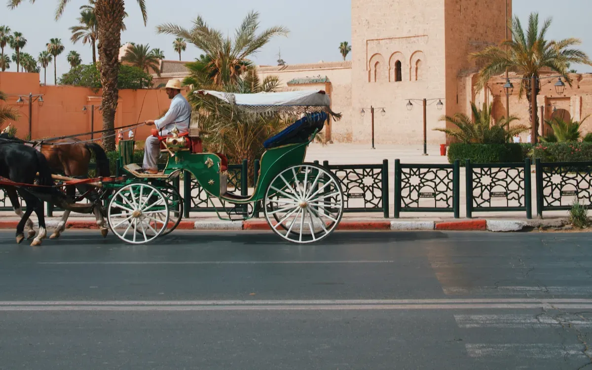 Morocco's Urban Transformation: Paving the Way for Sustainable Cities