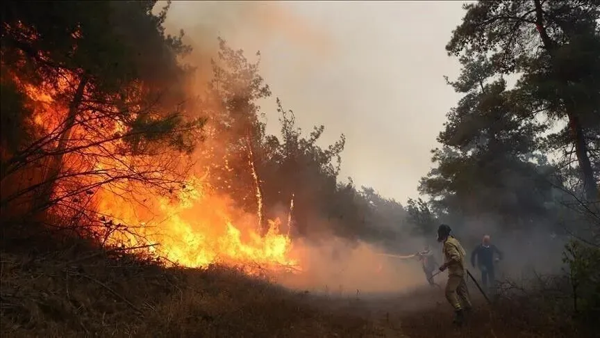 Moroccan Authorities Combat Wildfire Amid Rising Temperatures