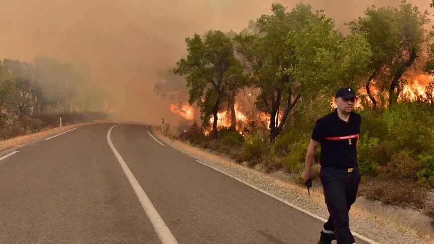 Morocco Battles Wildfire in Errachidia Amid Extreme Heat Warnings