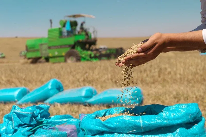 Significant Increase in Grain Storage Capacities in Morocco