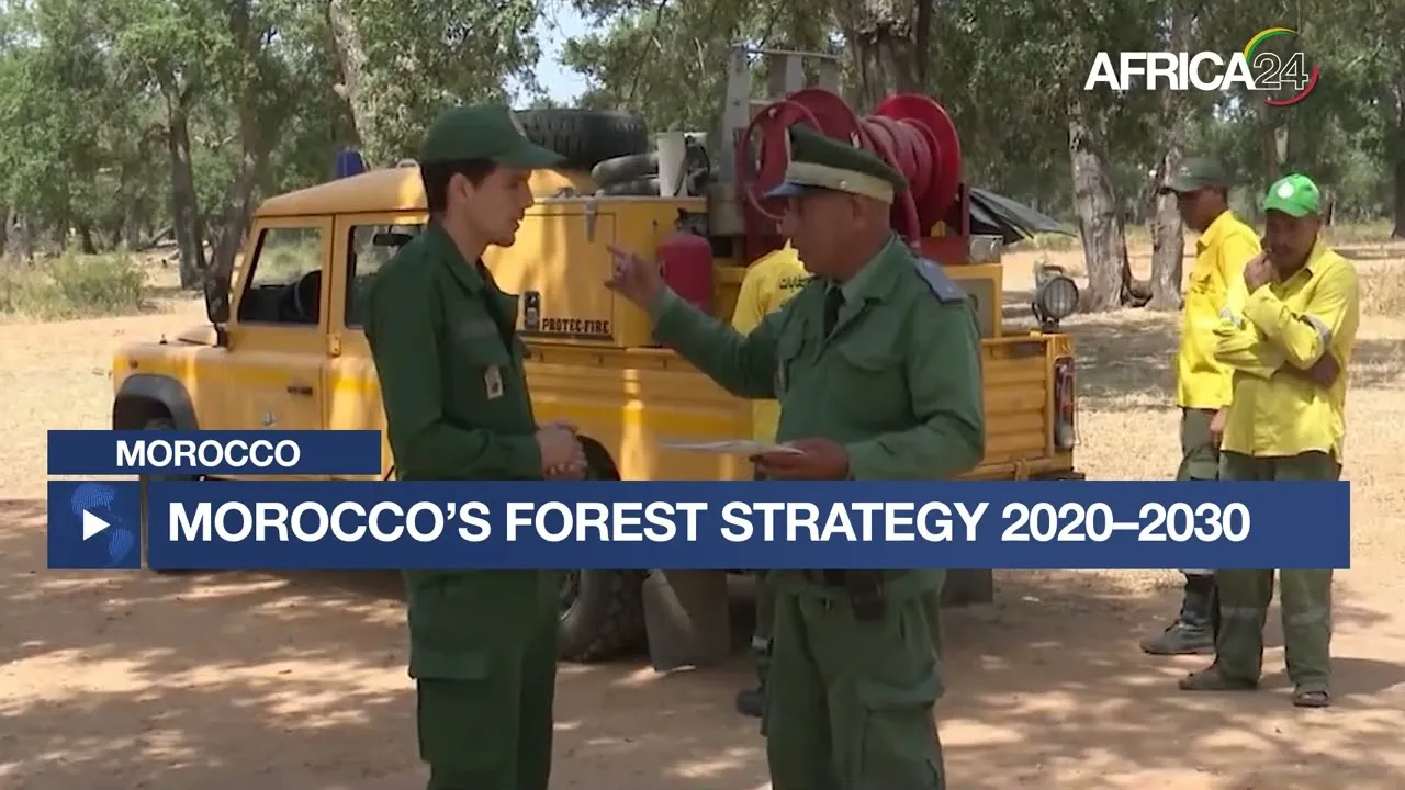 Morocco Mobilizes €580 Million for Ambitious Forestry Strategy 2020-2030