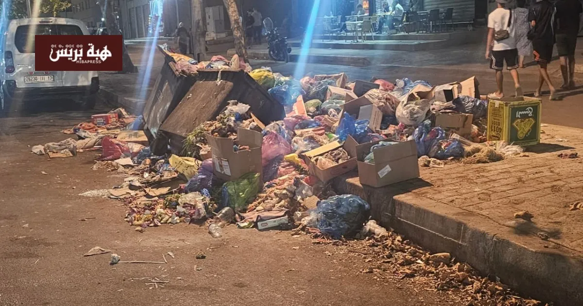 Concerning Scene at Fes-Sais Airport Entrance: Waste Overflows on the Road in Oulad Tayeb