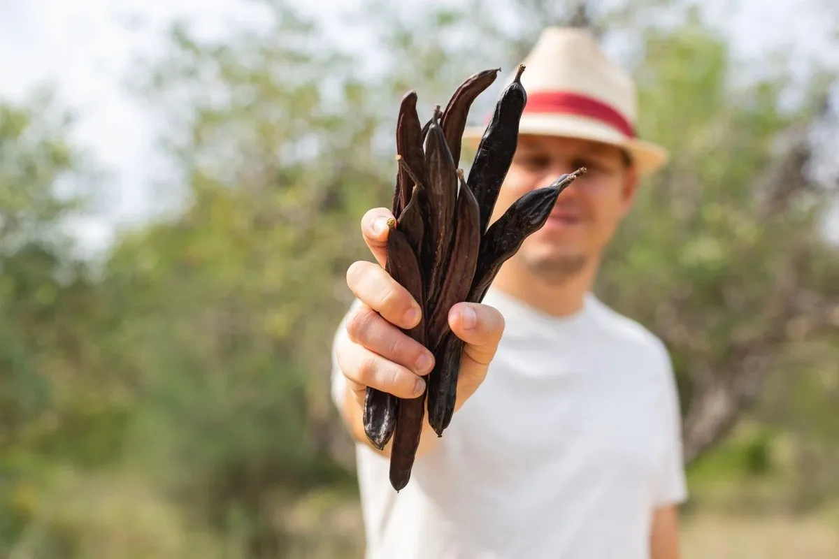 Nexira Expands Portfolio with Acquisition of Keragum Carob Ingredients