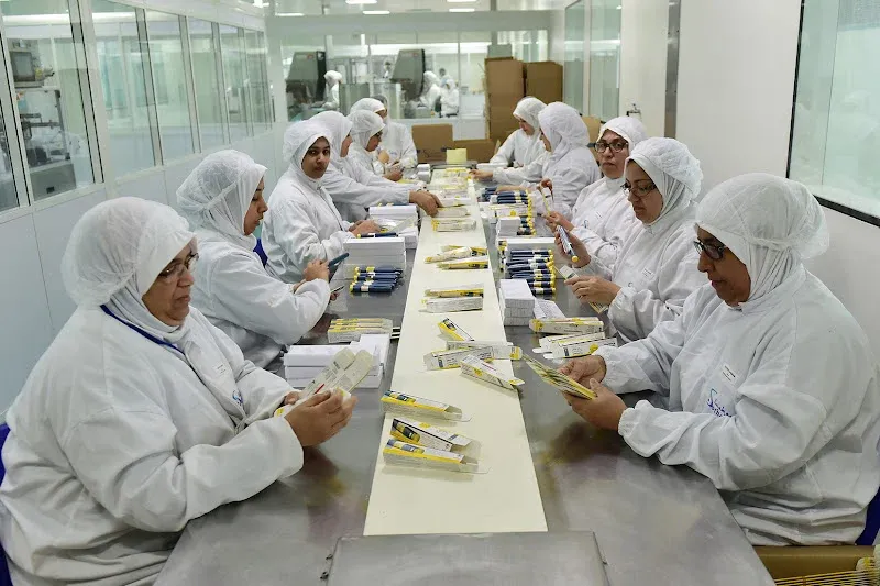 Declining Employment Rates Among Moroccan Women: A World Bank Review