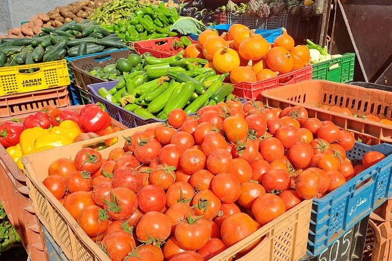 Morocco Emerges as Spain's Leading Supplier of Fruits and Vegetables Worth €710 Million