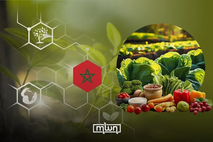 Morocco Solidifies Its Role as Spain's Top Supplier of Fresh Produce