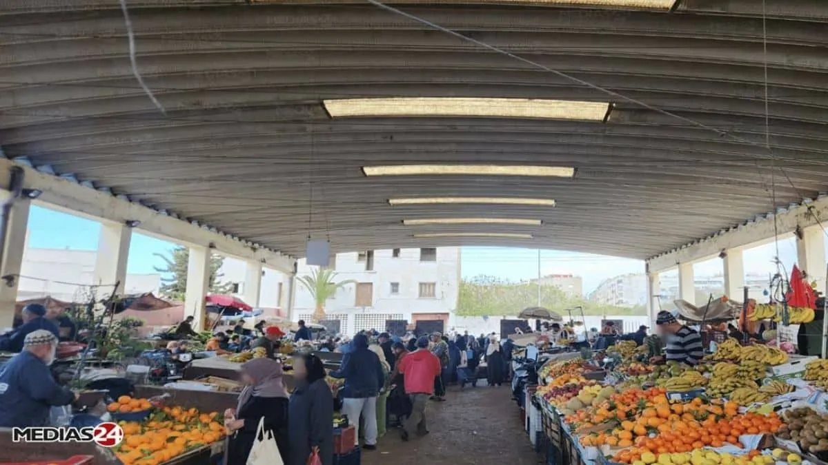 Market Trends in Casablanca: Price Fluctuations in Meat and Vegetables as of July 15, 2026
