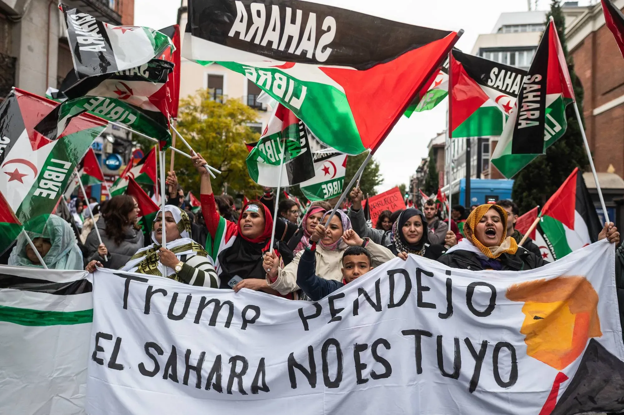 Boycott Calls Rise for 'The Odyssey' Amid Western Sahara Occupation Controversy