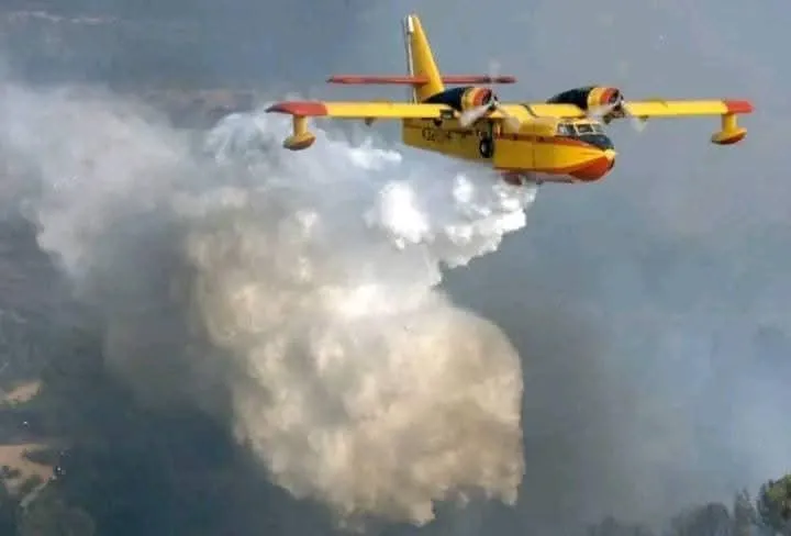 Firefighting Efforts Intensify as Teams Tackle Taroudant Forest Blaze