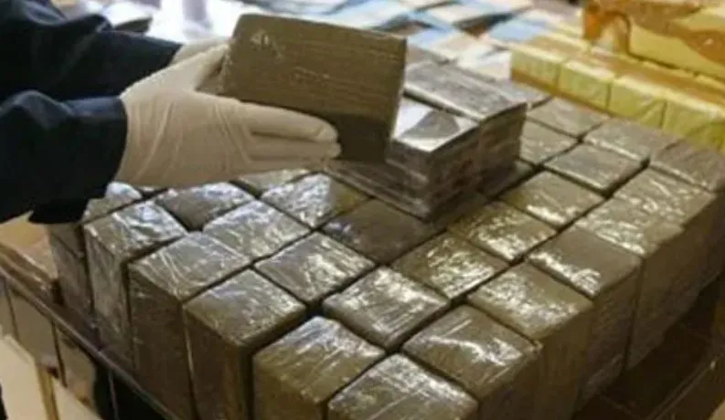 Spanish Authorities Foil Major Hashish Smuggling Operations from Morocco