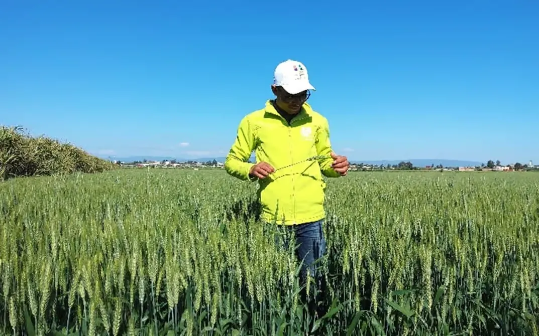 Al Moutmir Program: Enhancing Agricultural Yield in Casablanca-Settat and Marrakech-Safi Regions