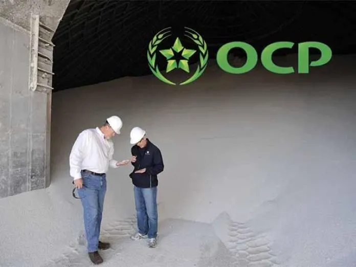 Duty-Free Moroccan Phosphate Fertilizer Poised for U.S. Arrival