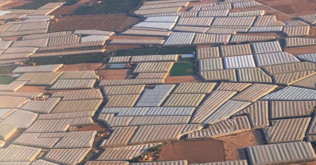 Morocco's Agricultural Strategy in Western Sahara: A New Era of Greenhouses and EU Relations