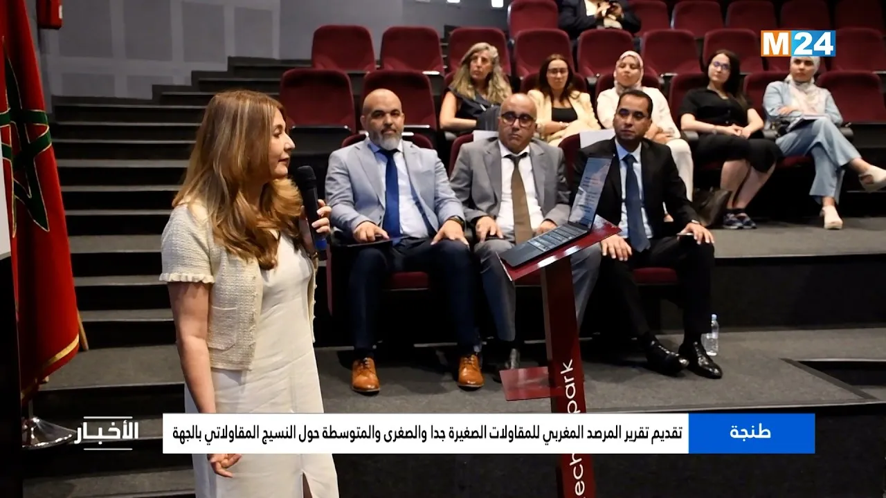 Exploring the Moroccan Observatory for Micro, Small, and Medium Enterprises: A Comprehensive Overview