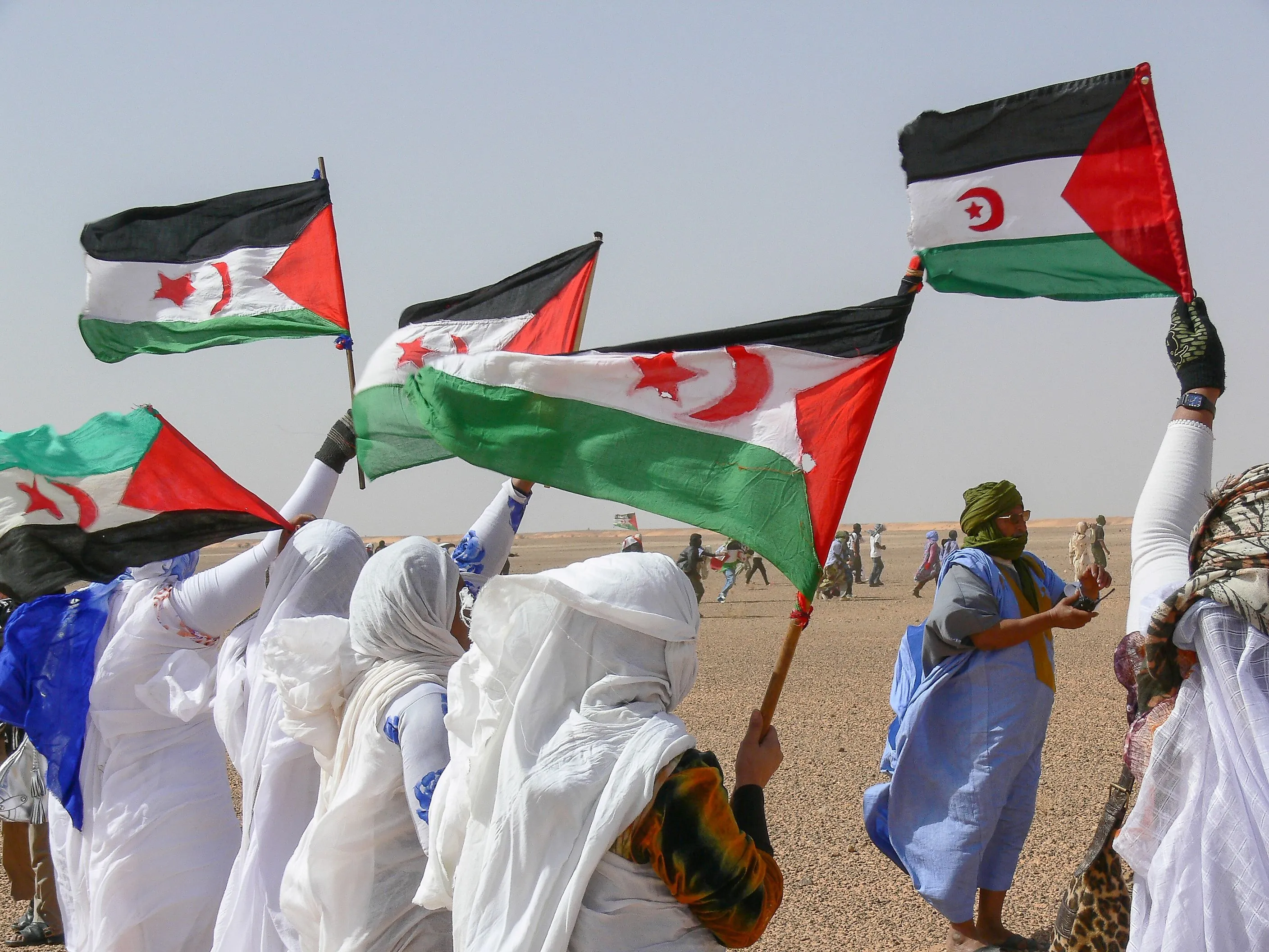 The Prolonged Struggle for Western Sahara: A Tale of Exile and Conflict