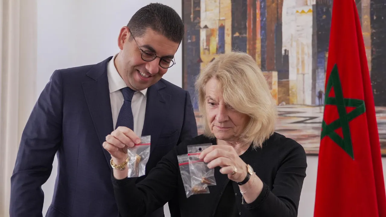 Morocco and France Collaborate to Recover 72-Million-Year-Old Dinosaur Teeth