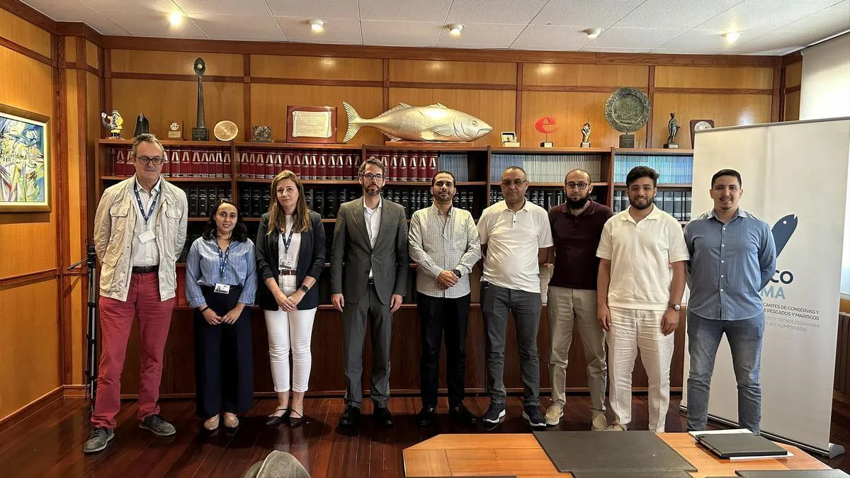 Anfaco and the Moroccan Fishing Sector Move Closer to Agreement Amid Partial Sardine Blockade Lift