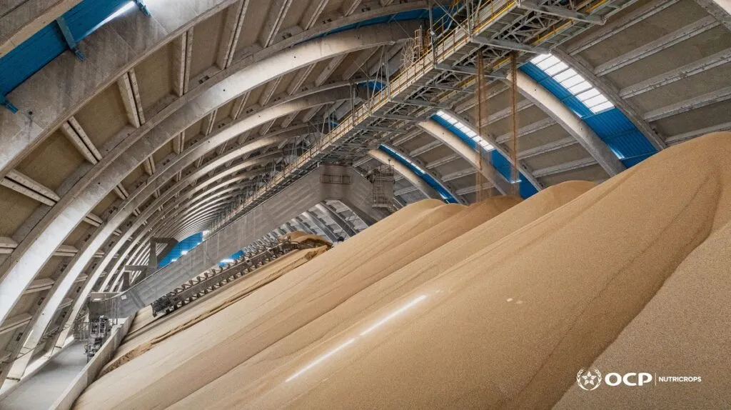 Morocco Enhances Its Role as a Key Phosphate Fertilizer Supplier to the U.S. with OCP-Koch Partnership