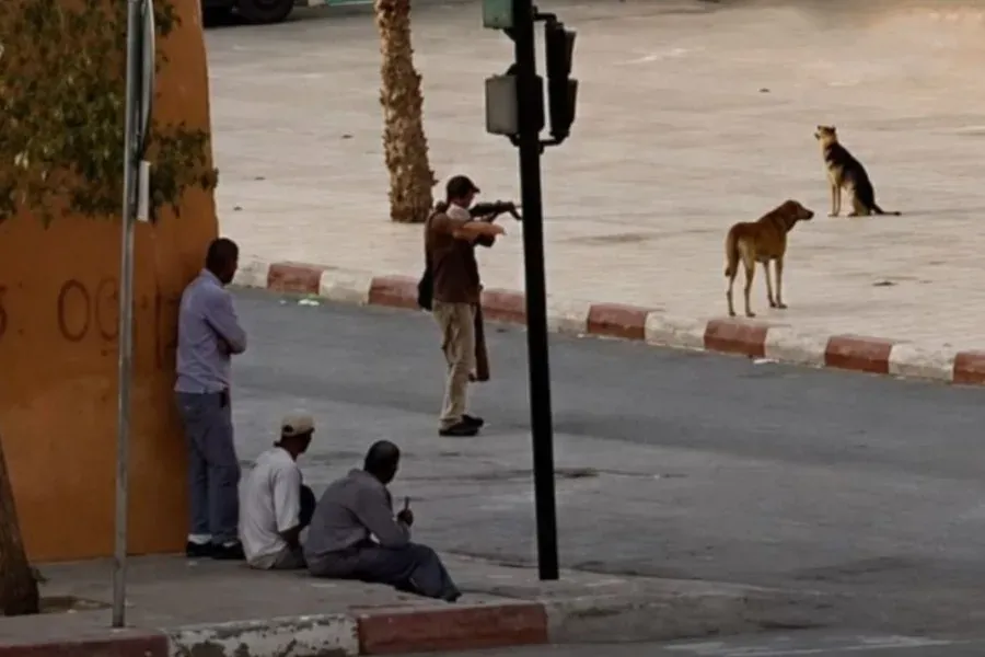 Outrage Erupts Over Disturbing Video of Stray Dog Shooting in Tinghir, Morocco
