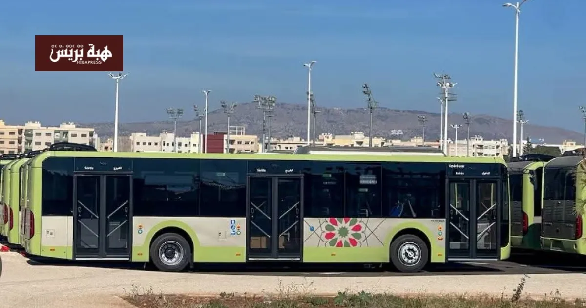 Public Transport Crisis Between Fes and Sefrou: Citizens Demand Answers