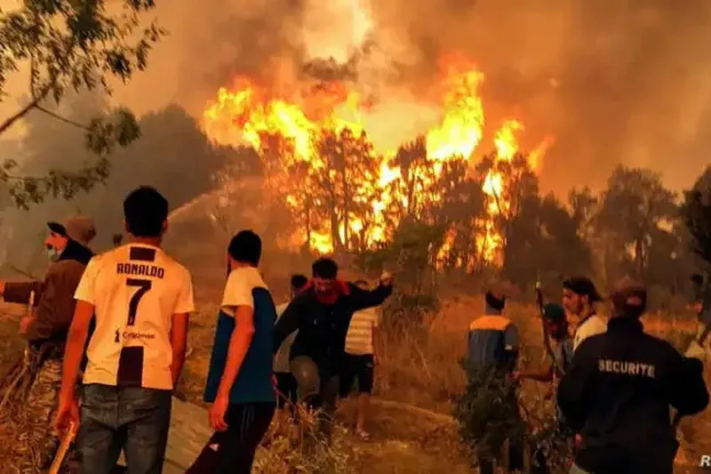 Wildfires Ravage 628 Hectares in Morocco: Latest Updates