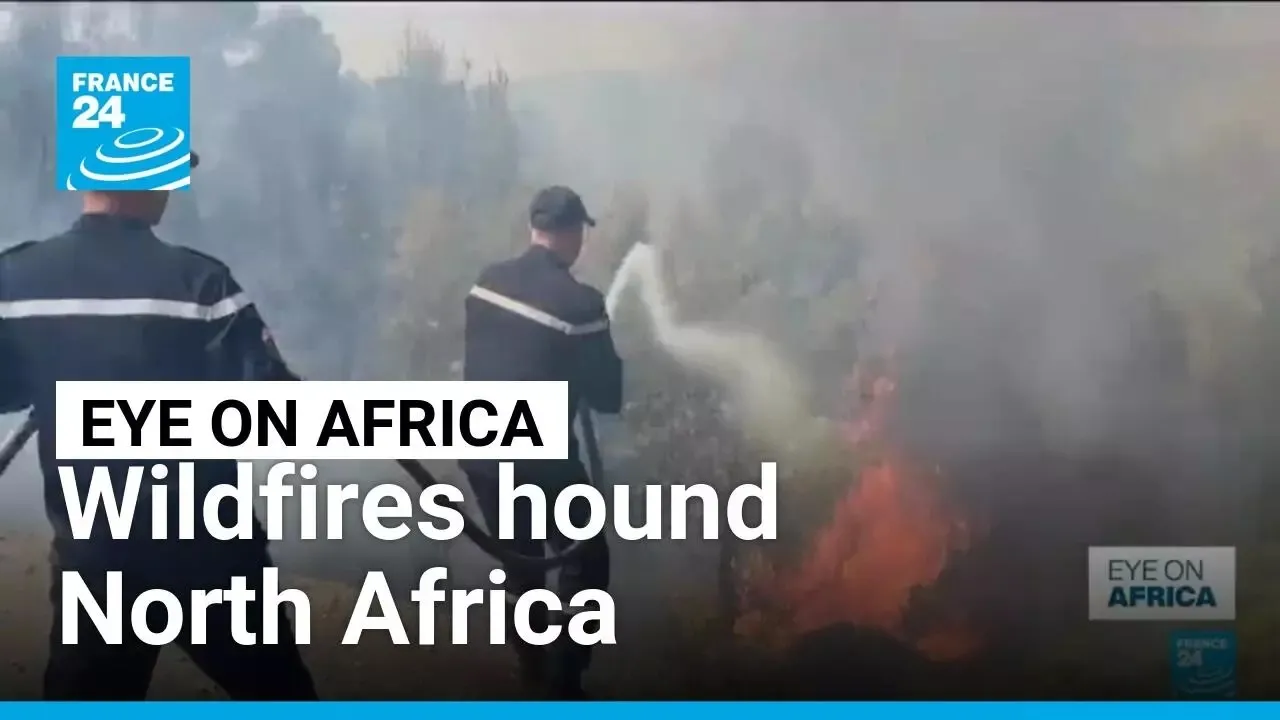 Devastating Wildfires Affect North Africa: A Closer Look