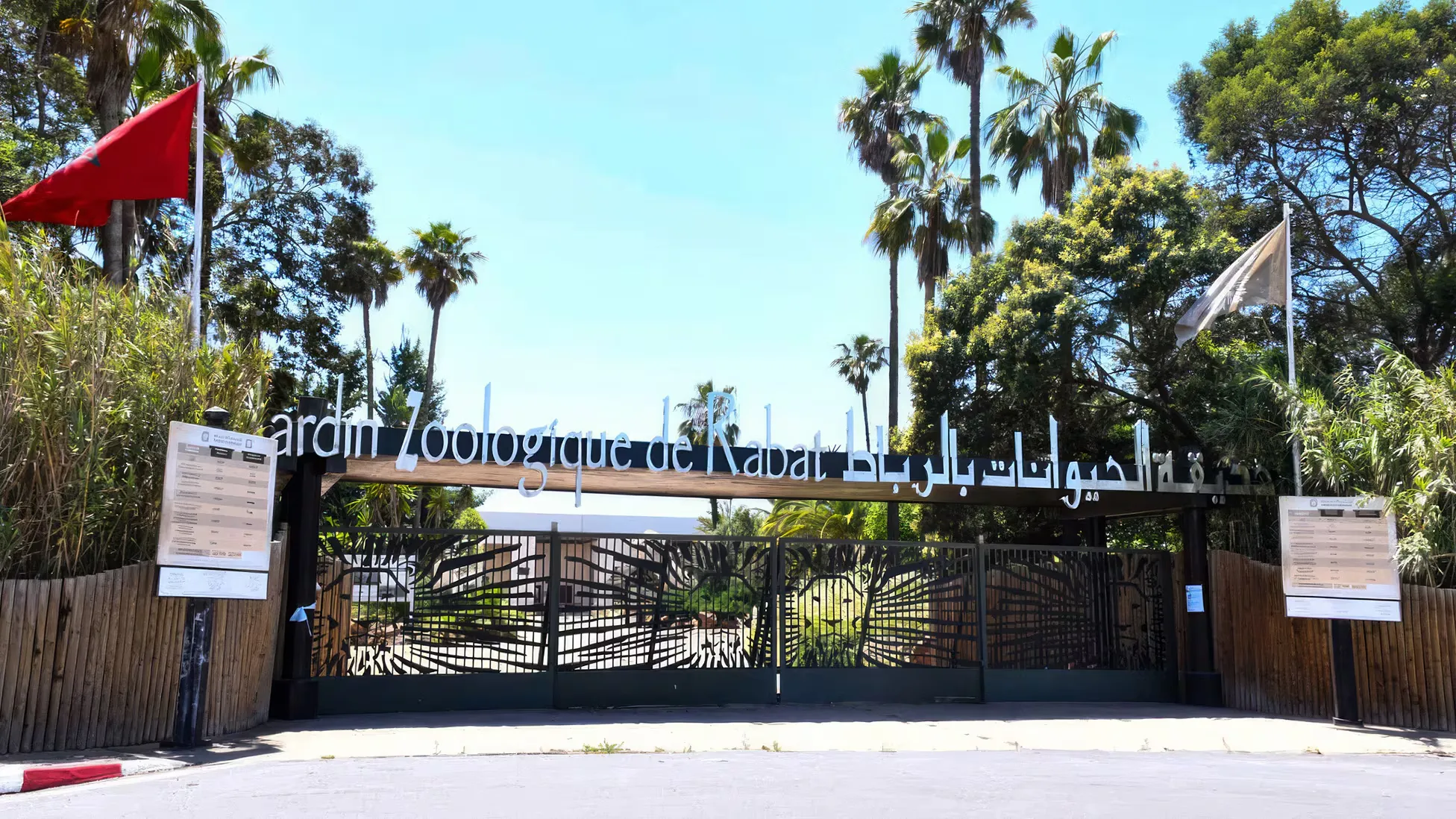 Shocking Video Exposes Animal Welfare Issues at Rabat Zoo