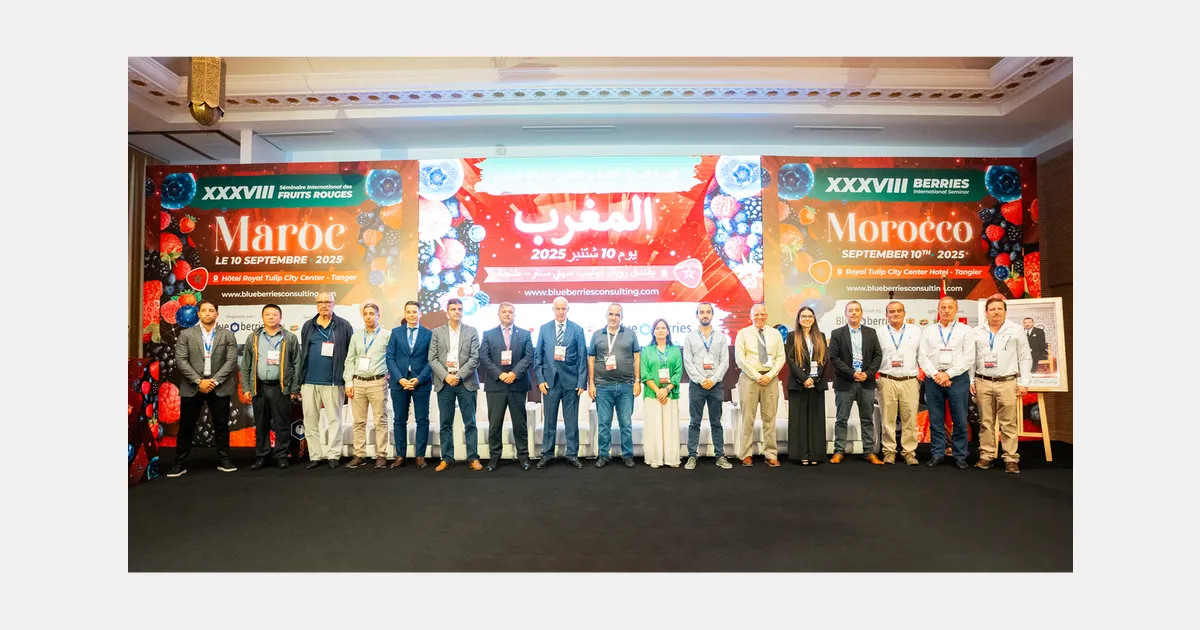 Morocco Emerges as a Strong Contender in the Global Berries Industry