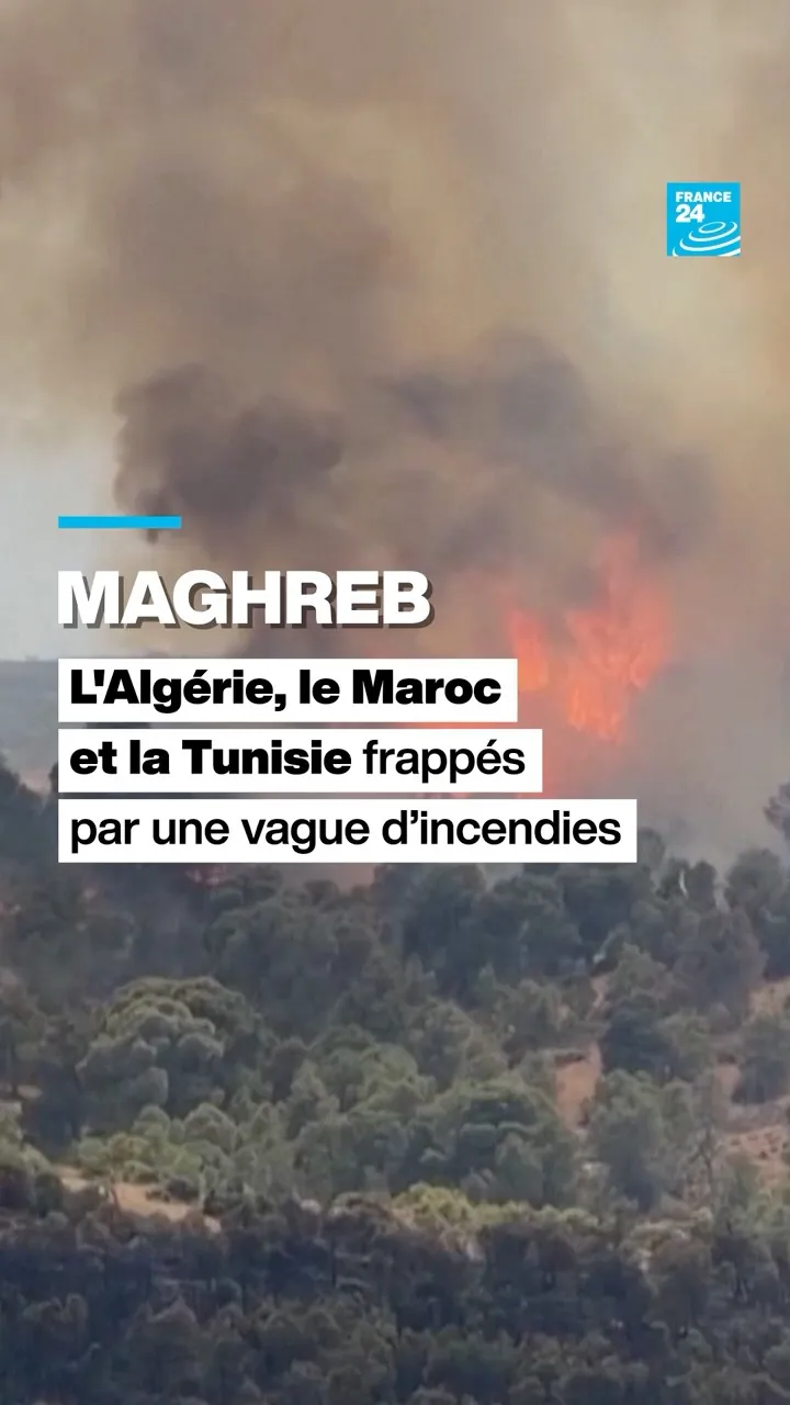 Algeria, Morocco, and Tunisia Face Devastating Wildfires Amid Extreme Heat