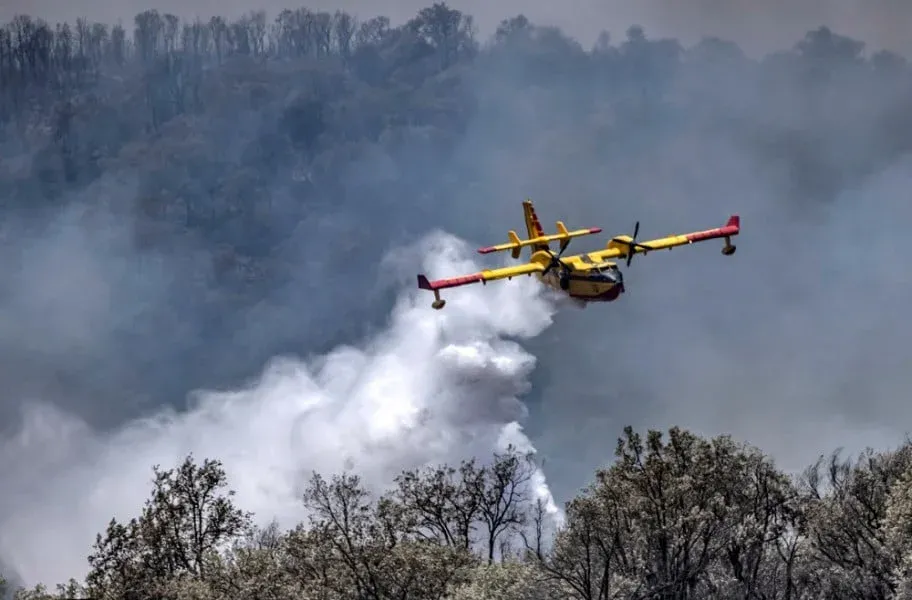 Mediterranean Wildfires: A Comparative Analysis of Morocco and Algeria's Response Strategies