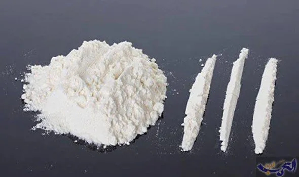 Marrakech Police Seize Cocaine in Shocking Drug Bust