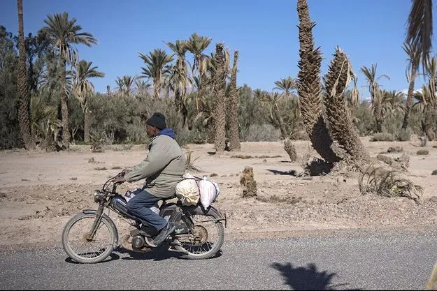 Extreme Heat Wave Hits Morocco with Temperatures Approaching 47 Degrees