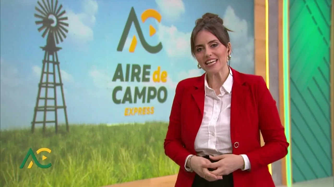 Rural Expo 2026: Showcasing Argentine Beef in Morocco