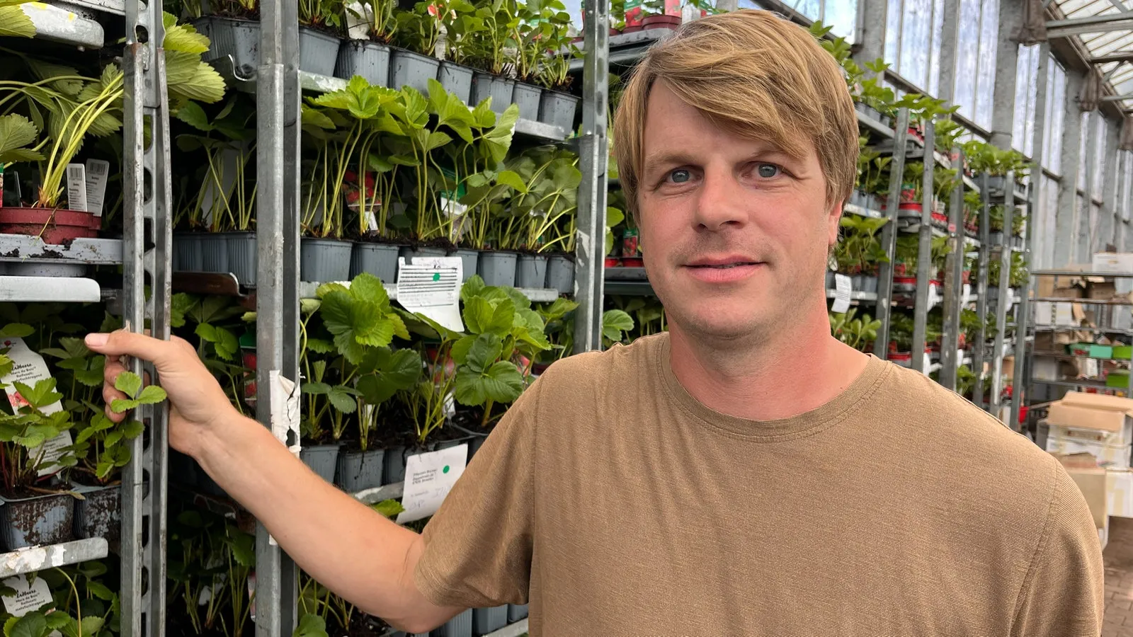 Local Fruit Farmers in NRW Urge Consumers to Support Domestic Produce Amid Rising Costs