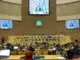 US Government Fuels Green Ammonia Project in Moroccan Sahara: A New Era of Cooperation